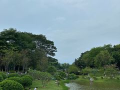 -东莞植物园