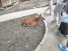 -成都欢乐谷