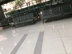 -小海豚国际游泳培训中心(浦东塘桥店)