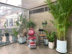 -BOF HAIR BY HONTO