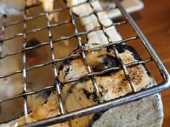 -三月居酒屋(青年大街店)