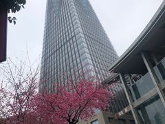 -西湖文化广场