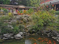 -荔湾湖公园