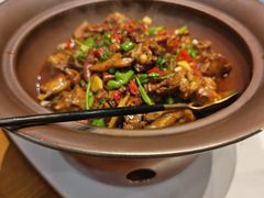 闽北肥肠鸡-红椒香·闽北光泽菜·宴请聚会(奥体店)