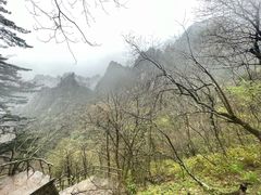 -黄山风景区