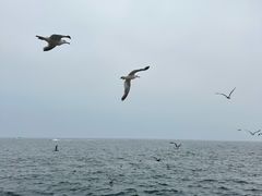 -星海广场