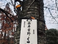 -杭州植物园