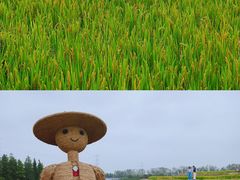 -乌村