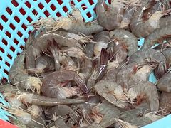 -信二嫂虾饼(振兴路店)