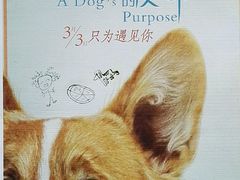 -梅陇文化馆