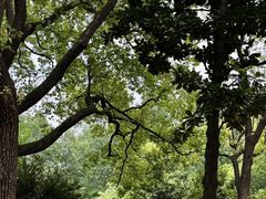 -徐家汇源景区-衡山公园