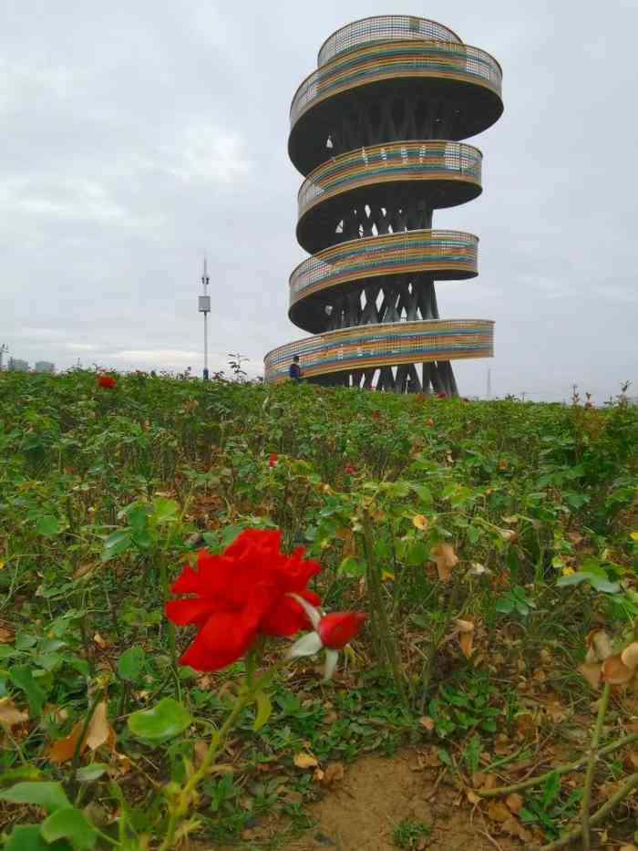 瑶海湾湿地公园-"还在试营业的时候晚上和家人来拍的夜晚.
