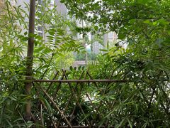 -庶民居中餐馆(花土店)