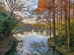 -西溪国家湿地公园