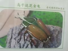 -万达广场(宜兴店)