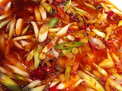 -红辣椒·川菜·火锅(科华路店)