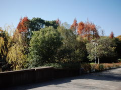 -蠡湖中央公园