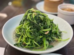 -富春茶社(国庆路店)