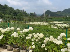 -贵阳蓬莱仙界