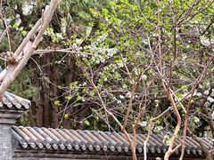 -李叔同故居纪念馆