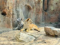 -北京野生动物园