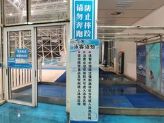 -广西体育中心-游泳馆