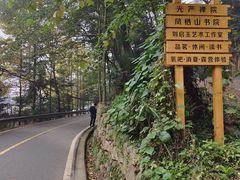 -凤栖山
