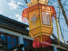 -金泽古镇