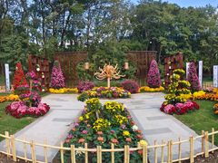 -上海共青森林公园