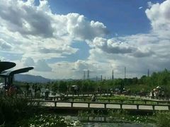 -永定河休闲森林公园