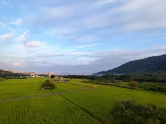-风云岭森林公园