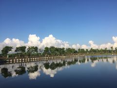 -明珠湖天鹅苑·农家菜馆