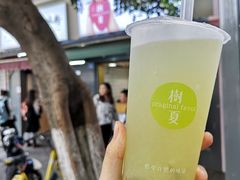 -树夏(建设路店)