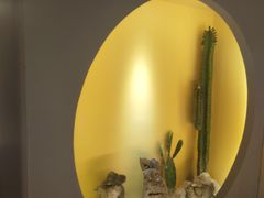 -得闲·高空SPA(东盟店)