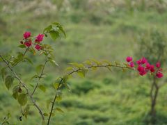 -风云岭森林公园