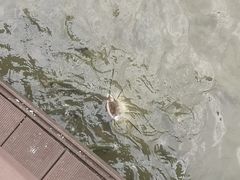 -海珠湖公园
