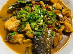 -全乐鱼馆·淳牌有机鱼直营店