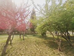 -和平区健康主题公园