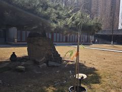 -护国法轮寺