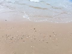 -南戴河旅游度假区