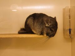 -龙猫仔乐园(惠福东路店)