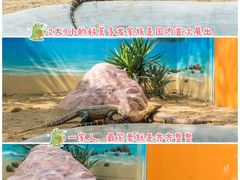 -广州长隆野生动物世界