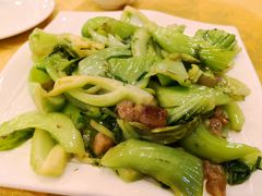 -鸿达渔港