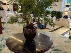 -罗浮山嘉宝田森林温泉度假酒店