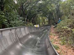 -富斯特索道