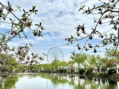 -无锡蠡湖国家湿地公园-蠡园