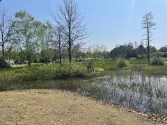 -广富林郊野公园