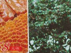 -绿雅居原生态农庄(小涌店)