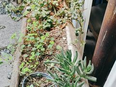 -都氏家DUSJOY(翡翠城店)