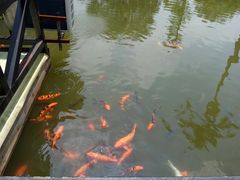-花溪雨·森林餐厅(石基店)